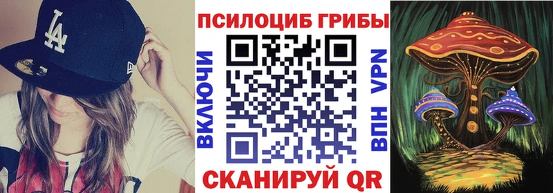 Галлюциногенные грибы Cubensis закладка Ворсма